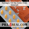 Kamagra 100 Mg Gelée Orale Sildénafil 43